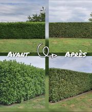 BC Service Élagage image 17