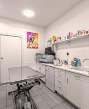 Clinique vétérinaire de Guipavas - Sevetys image 1