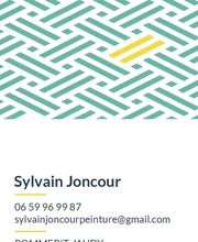Sylvain Peinture image 2
