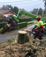 Jardins Arborés image 8