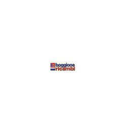 Boggione Ricambi logo