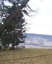 Blanchon Michel image 7