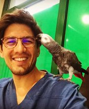 Cabinet Vétérinaire de la Fonderie SA Bild 6