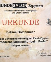 Bine's Hundestyling Bild 8