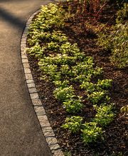 Grab Gartenbau AG Bild 6