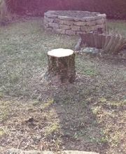 Baron Frederic image 19