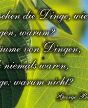 Notariat NUSSBAUM Bild 3