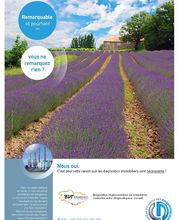 BDT Diagnostics image 3