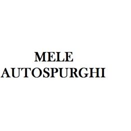 Mele Autospurghi logo