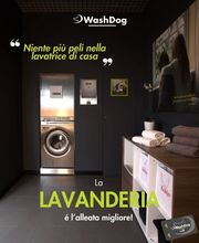 WashDog Bellinzona Bild 6