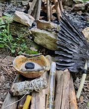 Herzstüblein Bild 2