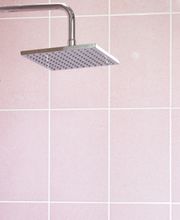 Bonsai Builders image 6