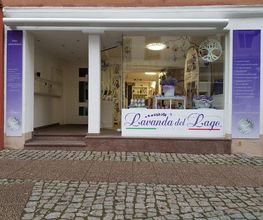 dein-Lebensbaum Bild 1