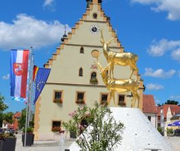 Stadt Hirschau Bild 1
