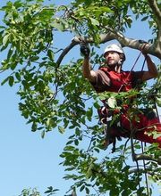 SEILTECHNIK LEESE Bild 4