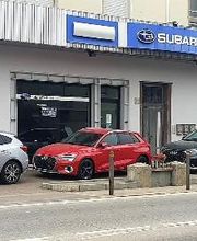 Gallery Cliente