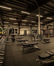 Fitness First Rottenburg - Freihantel Bereich