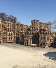 Les Palettes de David image 5