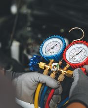 Shelter Air image 17