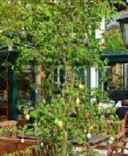Landhaus Café Bild 1