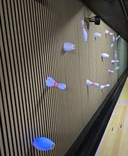 Flying Bowling Veldhoven