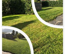 Almeida Giardini Bild 8