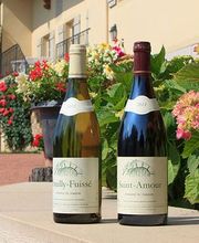 Domaine du Paradis image 1