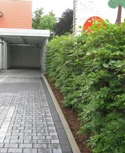 Blumenhof Müller oHG Bild 4