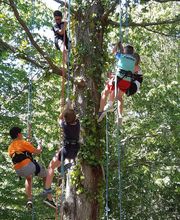 Camping Paradis La Cailletière image 4