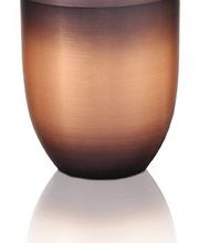 Alpina Bestattungsinstitut AG Bild 4