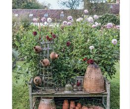 Jardins Intemporels image 1