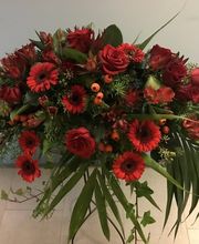 Bolli Domenico Sagl Bild 2