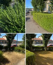 Par-Terre & Jardin image 3