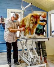 Tierpension Lanzenen Bild 3