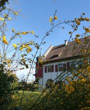 Eisenbibliothek, Stiftung der Georg Fischer AG Bild 3
