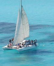 My Cancun Tours imagen 2