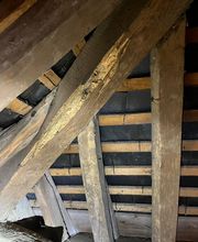 Aco.Habitat image 14