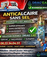Allo Alex image 13