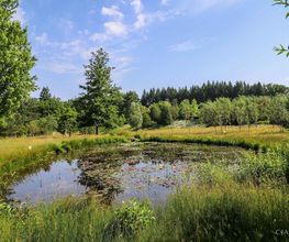 LES JARDINS SOTHYS image 10