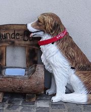 dogsland GmbH Bild 5