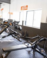 Basic-Fit 24/7 afbeelding 2