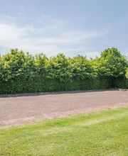 Camping*** du Vélodrome image 18