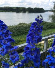 Akademie für Ganzheitliche Führung und Coaching Bild 9