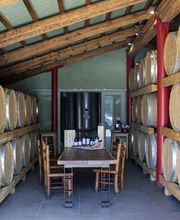 Gallery Professionale