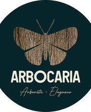 Arbocaria image 9