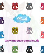 Maggys Paradies Bild 1