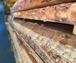 Keplinger Holz Stammham Bild 5