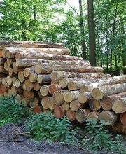 Hürbin Brennholzservice Bild 1