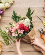 Garden & Nostalgia imagen 1