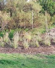 Les Jardins Du Bord De Mer image 2